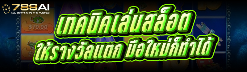เทคนิคเล่นสล็อต ให้รางวัลแตก มือใหม่ก็ทำได้